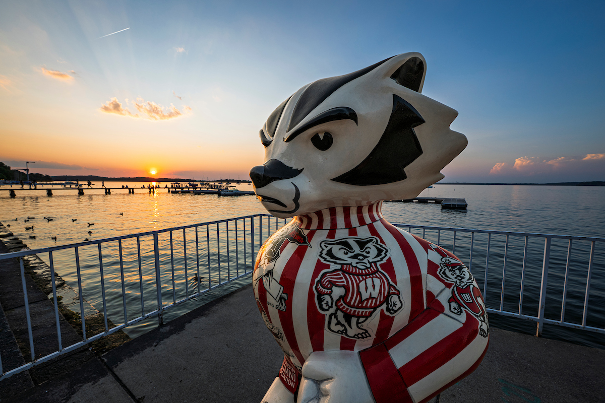 Bucky statue at sunset